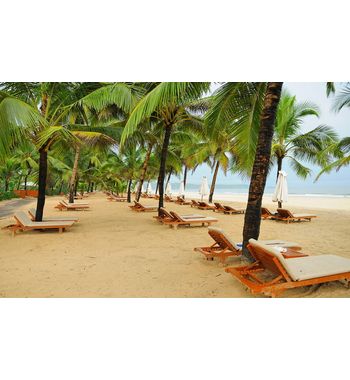 Тур на Гоа из Узбекистана — прямой рейс в место райского отдыха у океана!